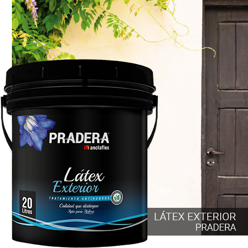 Imagen de Látex exterior Pradera